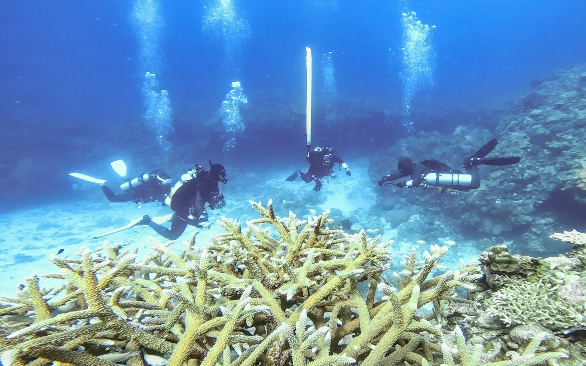 TEC DIVE by Marine Product｜マリーンプロダクトのテクニカルダイビング・テックダイブ【公式サイト】 沖縄の